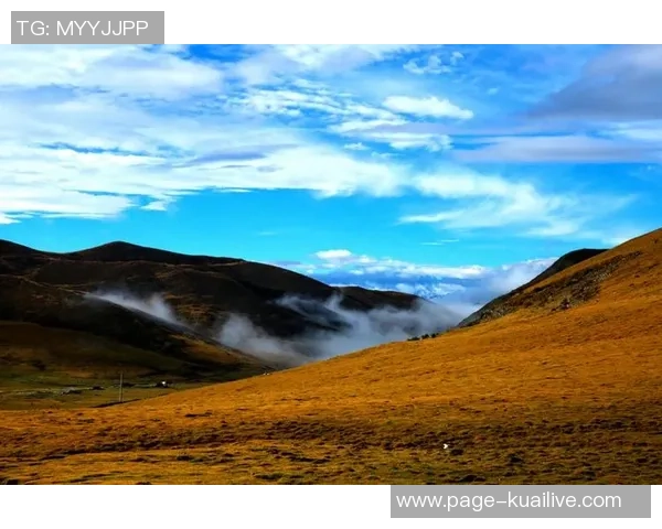 李泓澎的成长之路与艺术探索：从少年到青年的心灵旅程